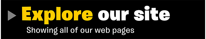 Explore our Hamster Brain Studio web site